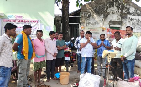 ଶିମିଳିପଦର ପେକ୍ସ ରେ ସଭାପତି ସୁମନ୍ତ ମିଶ୍ର ଙ୍କ ଦ୍ୱାରା ଧାନମଣ୍ଡି ଉଦଘାଟିତ l