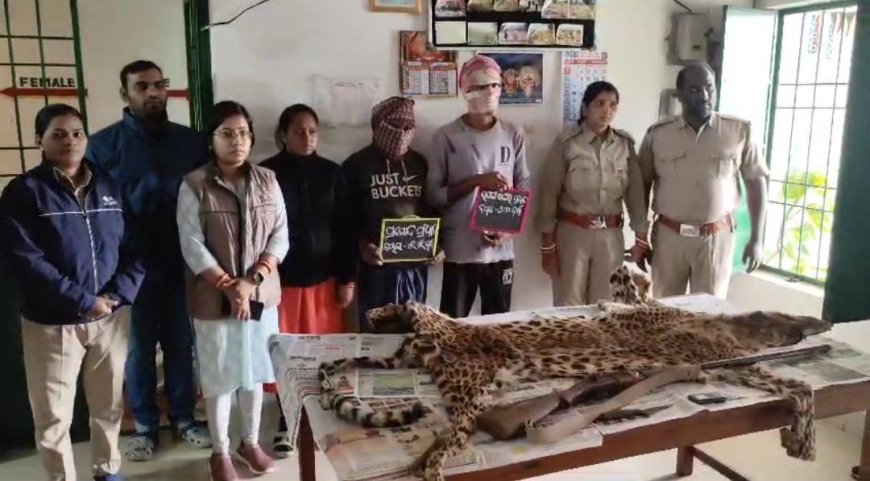 ବାଘ ଛାଲ ଜବତ, ଦେଶୀ ବନ୍ଧୁକ ସହ ଦୁଇ ଗିରଫ