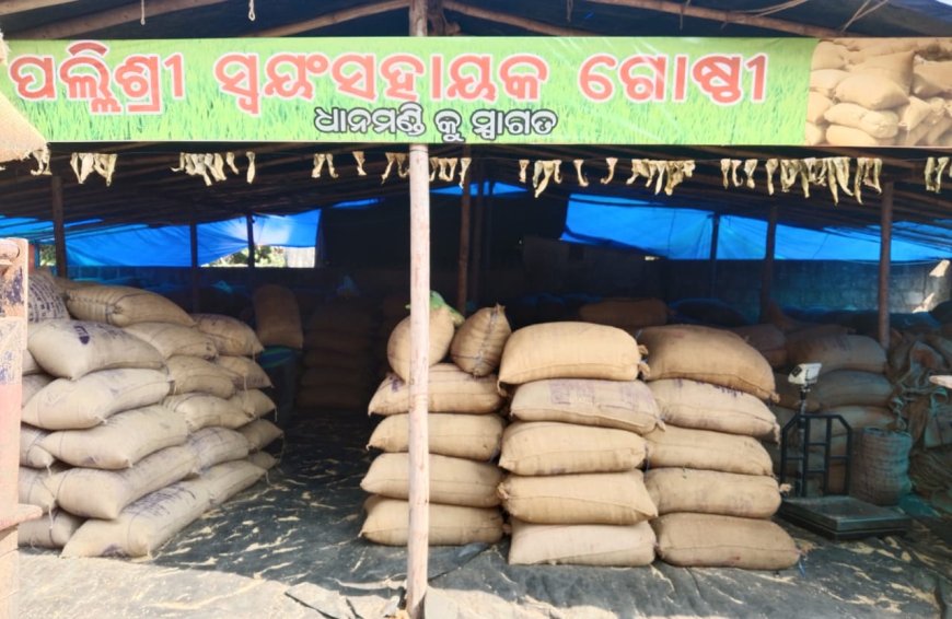 ଦଲାଲଙ୍କ କବଜାରେ ମହିଳା ଗୋଷ୍ଠୀ..... ଧାନମଣ୍ଡି ଆରମ୍ଭ ରୁ କଟନୀଛଟନୀ ଚାଷୀ ଅସନ୍ତୋଷ