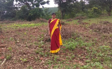 ସରକାରୀ ବସ ଦୁର୍ଘଟଣା ରେ ଅଙ୍ଗନବାଡି କର୍ମୀ ମୃତ୍ୟୁ l କ୍ଷତିପୂରଣ ଦାବୀ ରେ ତୁମୁଡିବନ୍ଧ ଜାତୀୟ ରାଜପଥ ଅବରୋଧ