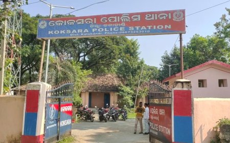 ନାବାଳିକା ବଳାତ୍କାର ଅଭିଯୋଗ ରେ ଅଭିଯୁକ୍ତ ଯୁବକ କୋର୍ଟ ଚାଲାଣ :