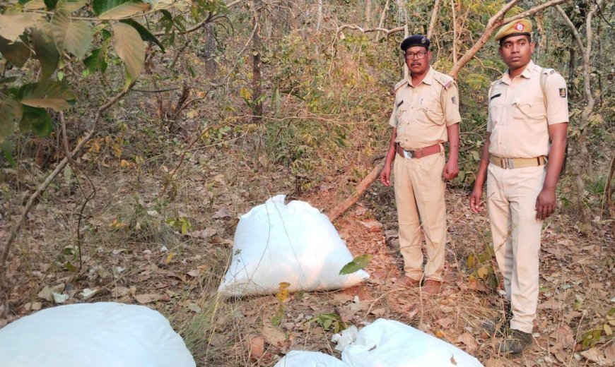 ୩କୁଇଣ୍ଟାଲ ରୁ ଉର୍ଦ୍ଧ୍ଵ ଗଞ୍ଜେଇ ଜବତ, ଅଭିଯୁକ୍ତ ଫେରାର