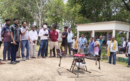 ରେଙ୍ଗାଲି ଓ ଗଜବାହାଲ ଠାରେ ବିକଶିତ କୃଷି ସଂକଳ୍ପ ଅଭିଯାନ......