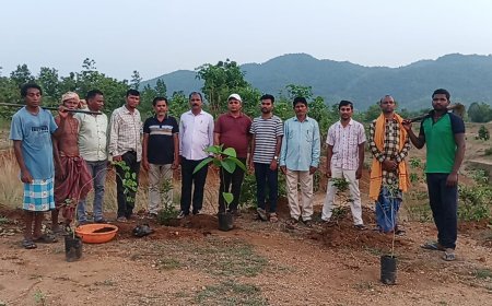 ମାହେଶ୍ୱରୀ ଗୋଶାଳାରେ ବୃକ୍ଷ ରୋପଣ କାର୍ଯ୍ୟକ୍ରମ ଅନୁଷ୍ଠିତ l