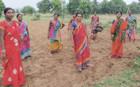 ଖୁଦ୍ର ଶଷ୍ୟ ଚାଷ କରିବାକୁ ଅଣ୍ଟା ଭିଡ଼ିଲେ ସ୍ୱୟଂ ସହାୟକ ଗୋଷ୍ଠୀ