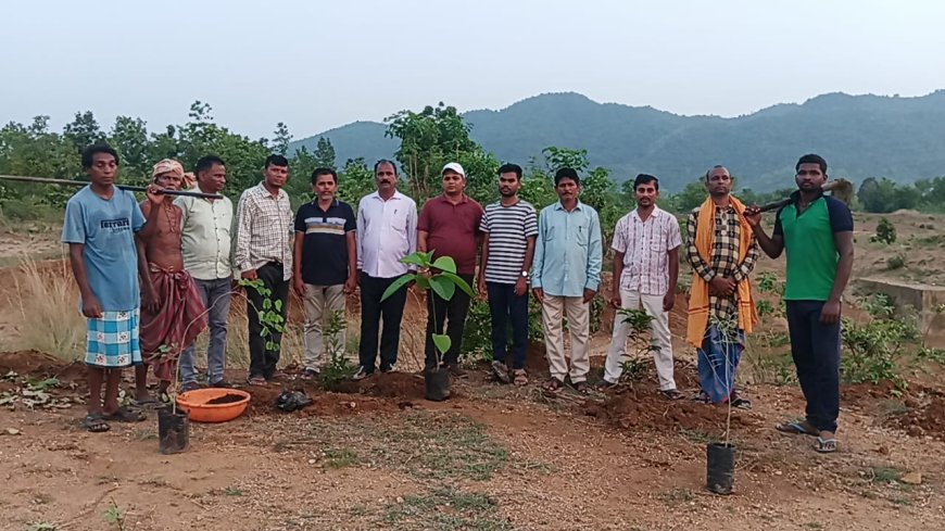 ମାହେଶ୍ୱରୀ ଗୋଶାଳାରେ ବୃକ୍ଷ ରୋପଣ କାର୍ଯ୍ୟକ୍ରମ ଅନୁଷ୍ଠିତ l