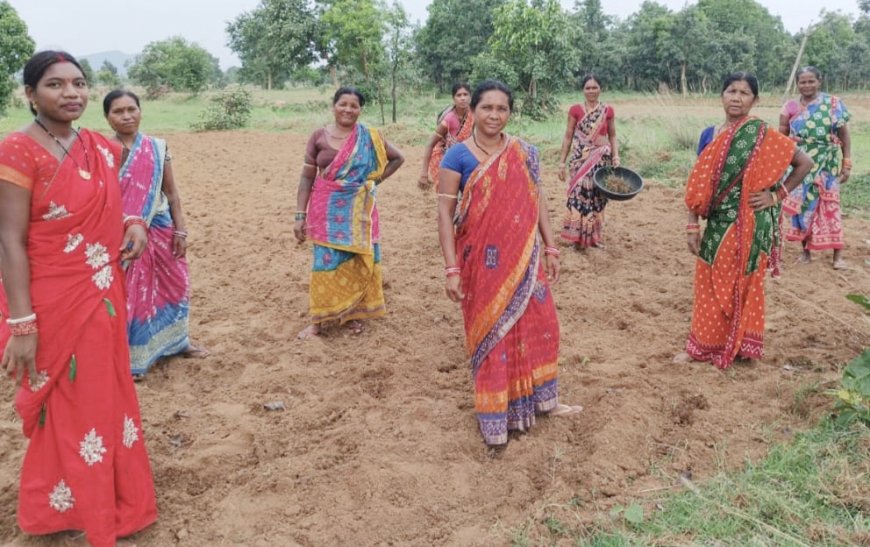 ଖୁଦ୍ର ଶଷ୍ୟ ଚାଷ କରିବାକୁ ଅଣ୍ଟା ଭିଡ଼ିଲେ ସ୍ୱୟଂ ସହାୟକ ଗୋଷ୍ଠୀ