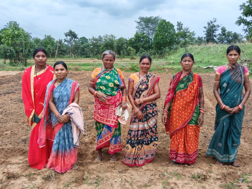 ଖୁଦ୍ର ଶଷ୍ୟ ଚାଷ କରିବାକୁ ଅଣ୍ଟା ଭିଡ଼ିଲେ ସ୍ୱୟଂ ସହାୟକ ଗୋଷ୍ଠୀ