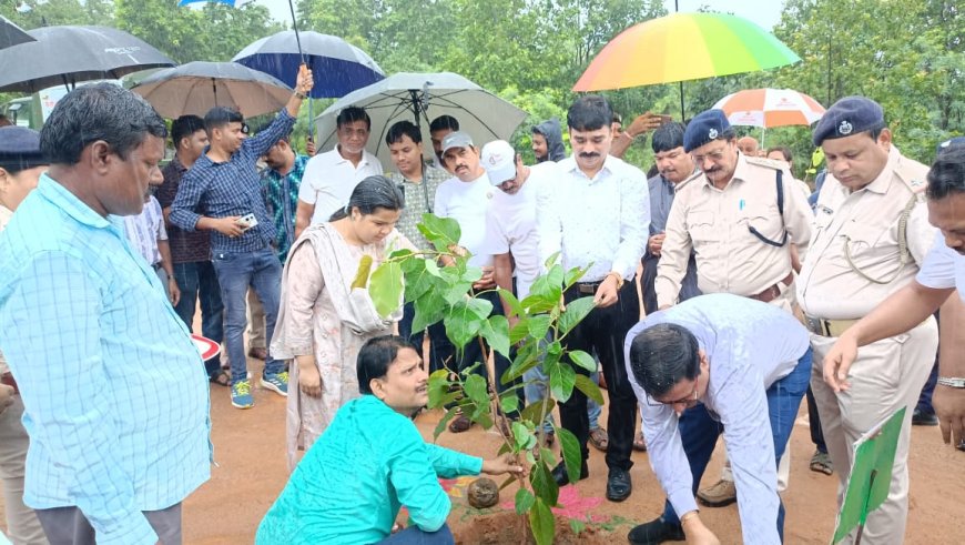 ସୁବର୍ଣ୍ଣପୁର ଠାରେ ଜିଲ୍ଲା ସ୍ତରୀୟ ବନ ମହୋତ୍ସବ ପାଳନ - ଗଛ ଲଗାଇଲେ ଜିଲ୍ଲାପାଳ ଓ ଏସପି*-