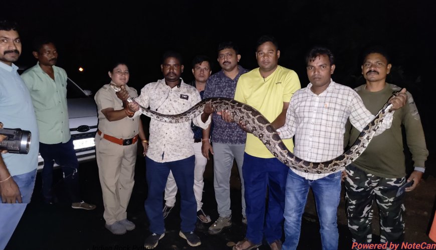 ଅବୁଜବାହାଲ ଠାରେ ଅଜଗର ସାପ ଉଦ୍ଧାର