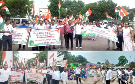 ତ୍ରିରଙ୍ଗା ଯାତ୍ରା ଏକ ଆନ୍ଦୋଳନ ତଥା ମହୋତ୍ସବରେ ପରିଣତ ହେଇଥିବା ବିଷୟ ଦେଶ ପାଇଁ ଶୁଭ ସଙ୍କେତ*- *ଜିଲ୍ଲାପାଳ*-