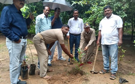 ବାଲିଯୋରୀଉଚ୍ଚ ପ୍ରାଥମିକ ବିଦ୍ୟାଳୟ ରେ ବନମହୋତ୍ସବ କାର୍ଯ୍ୟକ୍ରମଅନୁଷ୍ଠିତ