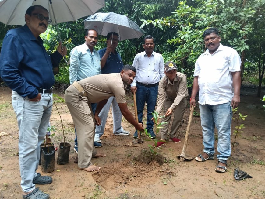 ବାଲିଯୋରୀଉଚ୍ଚ ପ୍ରାଥମିକ ବିଦ୍ୟାଳୟ ରେ ବନମହୋତ୍ସବ କାର୍ଯ୍ୟକ୍ରମଅନୁଷ୍ଠିତ