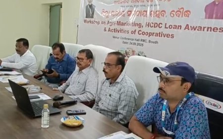 ଆରଏମସି ସଭା ଗୃହ ଠାରେ ଆନ୍ତର୍ଜାତିକ ସମବାୟ ବର୍ଷ ପାଳନ  ଅନୁଷ୍ଠିତ