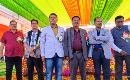 ପି ଏମ ଶ୍ରୀ ଉତ୍ସବ, ଜିଲ୍ଲାପାଳ ମୁଖ୍ୟ ଅତିଥି