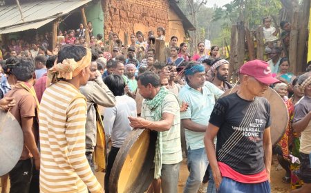 ଆଦିବାସୀଙ୍କ ଧରଣୀ ପେନୁ ଯାତ୍ରା ଆରମ୍ଭ  ...