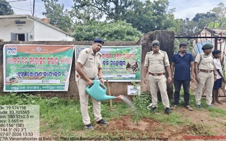 ବେଣାରବାହାଳ ବିଦ୍ୟାଳୟରେ ୭୭ତମ ବନ ମହୋତ୍ସବ ପାଳିତ ୫୦ଟି ଦେଶୀୟ ଓ ଫଳଜ ବୃକ୍ଷ ଚାରା ରୋପଣ; ପରିବେଶ ସୁରକ୍ଷା ପାଇଁ ସମସ୍ତଙ୍କୁ ସଚେତନତାର ବାର୍ତ୍ତା