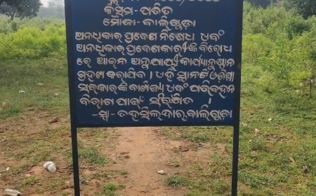 ସରକାରୀ ଜମିକୁ ନିଜର କହି ବିକି ଦେଇଥିଲେ ଜମି ମାଫିଆ, ପୁଣି ନିଜ ଅଧିନକୁ ନେଲା ପ୍ରଶାସନ l, ଆର୍. ଟି. ଓ ଙ୍କୁ ହସ୍ତାନ୍ତର l