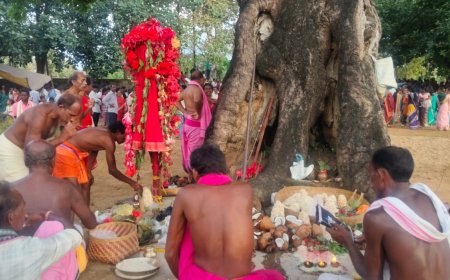 ତେରେସିଂହାରେ ମାଁ ପାଟଖଣ୍ଡାଙ୍କ ଛତର ଯାତ୍ରା ଅନୁଷ୍ଠିତ