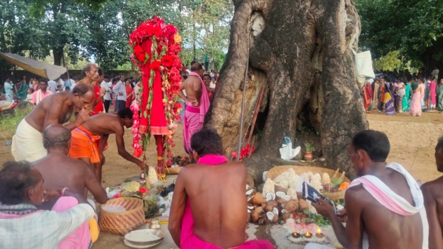 ତେରେସିଂହାରେ ମାଁ ପାଟଖଣ୍ଡାଙ୍କ ଛତର ଯାତ୍ରା ଅନୁଷ୍ଠିତ